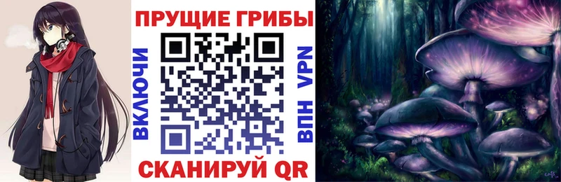 купить закладку Октябрьск Псилоцибиновые грибы мухоморы